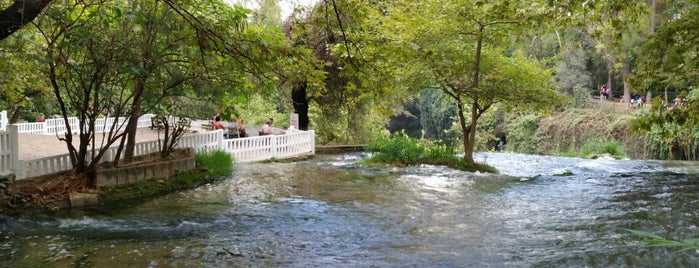 Düden Şelale Park Restorant is one of Lugares favoritos de Mehmet.