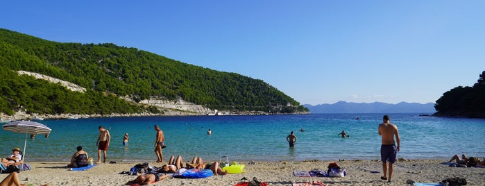 Plaža Uvala Prapratno Pelješac is one of Tempat yang Disukai Lennart.