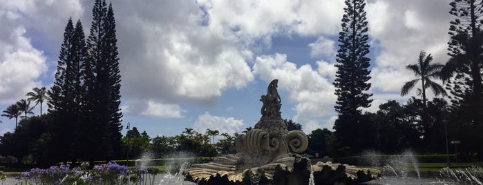 Princeville Fountain is one of Locais curtidos por Maggie.