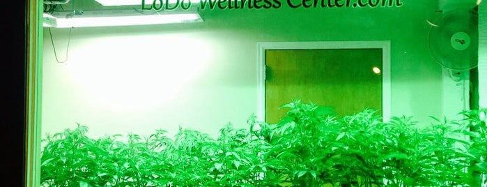 LoDo Wellness Center is one of Locais curtidos por Zach.
