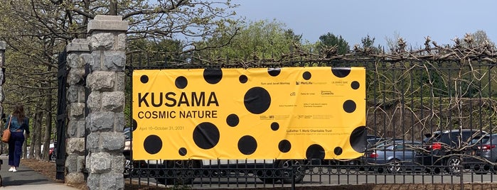 KUSAMA: Cosmic Nature is one of New 4SQ Discoveries.