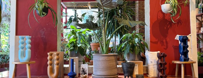 Tula Plants & Design is one of New York City.