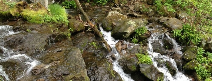 Lewis Falls is one of Waterfalls - 2.