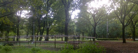 新宿中央公園 is one of Tokyo Visit.