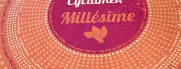 Kaasmeesters Callebaut is one of Zeven Zonden.