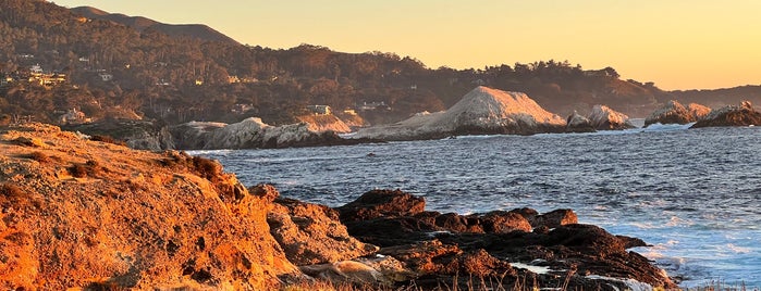 Sea Lion Cove is one of Lugares favoritos de eric.