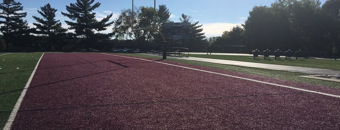 Dowling Carholic Track And Field is one of DM Metro FB Stadiums.