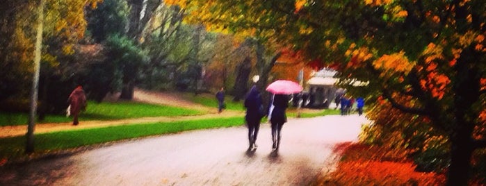 Vondelpark is one of Serengul&Mustafa'nın Beğendiği Mekanlar.