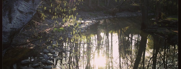 Petrifying Springs County Park is one of Places to visit again.