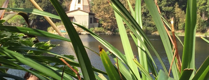 Self Realization Fellowship Lake Shrine Temple is one of Tempat yang Disukai Ross.