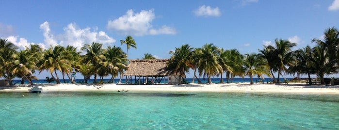 Splash Dive Center Belize is one of World.