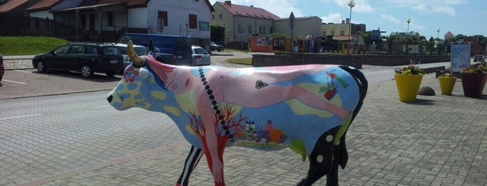 #GovjuParade 2012 | Sievišķīgā govs is one of Govju parāde 2012.