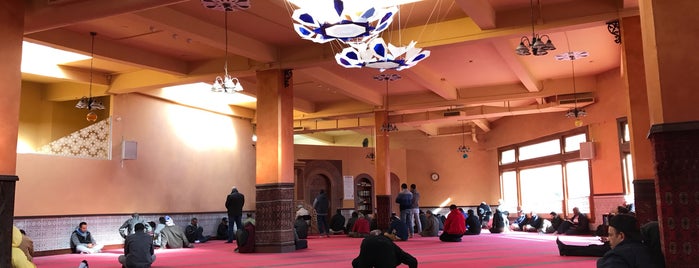 Islamic Society of San Francisco is one of San Jose spots.