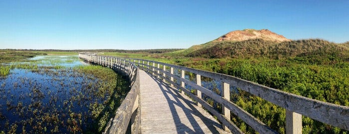 Greenwich Prince Edward Island National Park is one of Saibalさんのお気に入りスポット.