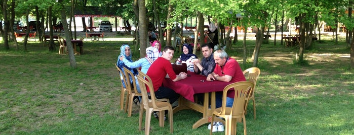 Çınar Piknik Alanı is one of İstanbul piknik.