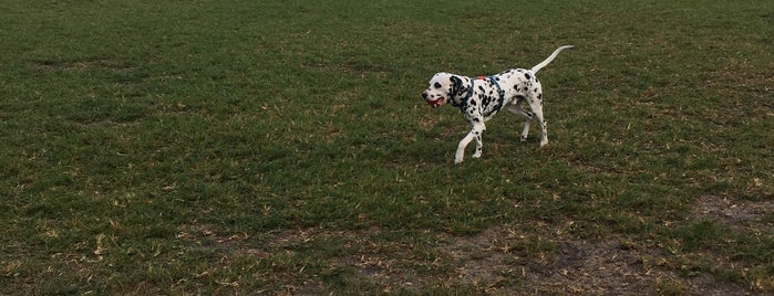 Shenandoah Park is one of Frequent Places.