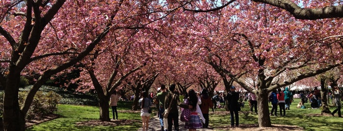 Japanese Garden is one of Lugares favoritos de JapanCultureNYC.