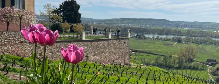Schloss Johannisberg is one of Wineries Visited.