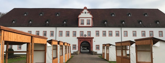 Schloss Schönborn is one of Tempat yang Disimpan arne.