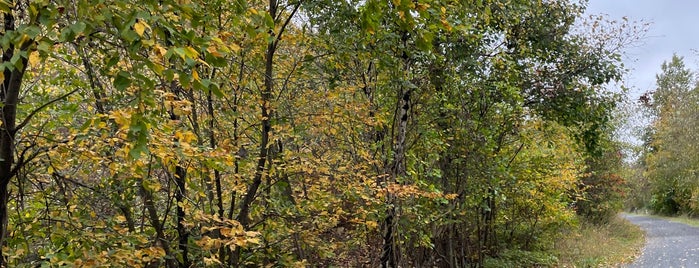 Lehigh Gap Nature Center is one of Lehigh Valley.