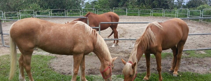 Horse Trail is one of Kuala Lumpur Trip.