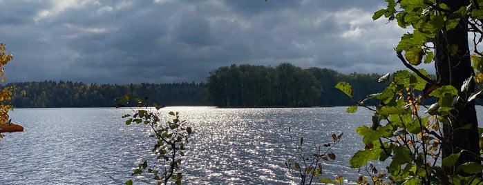 Норвежский парк is one of интересные места в Питере.