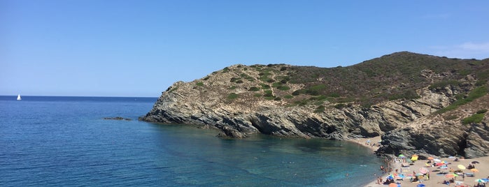 Cala dell'Argentiera is one of luna.