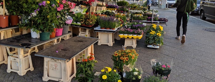 Blumen & Pflanzen is one of Shops.