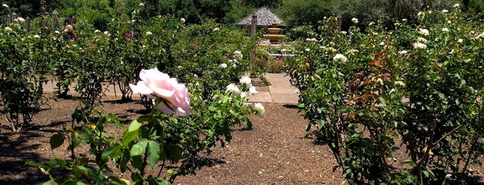 Rose Garden is one of Orte, die Lizzie gefallen.