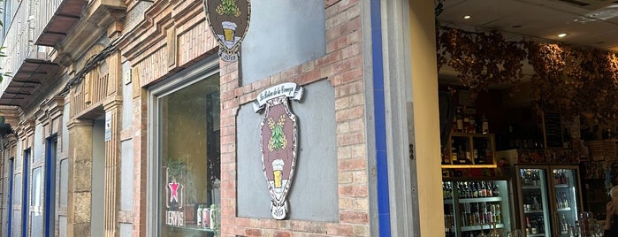 La Botica de la Cerveza is one of Los 7 bares de malaga.