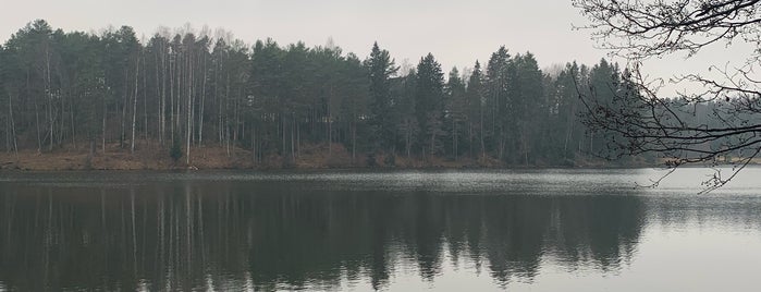 Осиновское озеро is one of Вело.