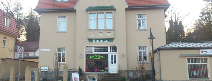 Blumenhaus Brigitte is one of Sammelalbum - Alle Orte in Hellerau.