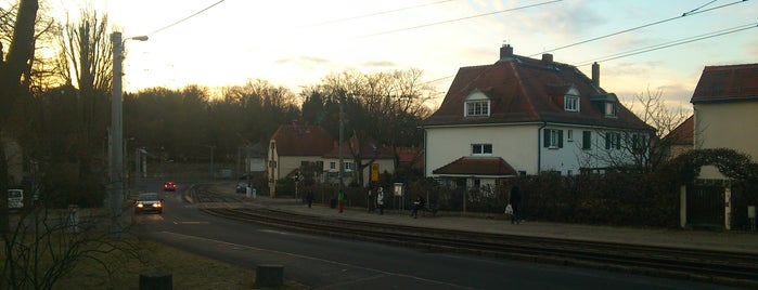 H Am Hellerand is one of Dresden tram line 8.