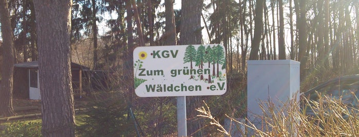 Kleingartenverein Zum grünen Wäldchen e.V. is one of Sammelalbum - Alle Orte in Hellerau.