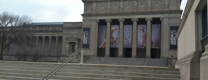 Museum of Science and Industry is one of Chicago Activities.