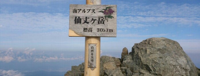 仙丈ヶ岳 is one of 日本の3000m峰.
