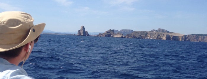 Illa Pedrosa is one of Diving sites Costa Brava.