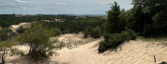 Ludington State Park Skyline Trail is one of places.