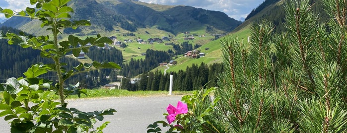 Holzgauerhaus is one of Hotels/Pensionen.