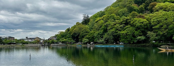 Arashiyama Park is one of 京都.