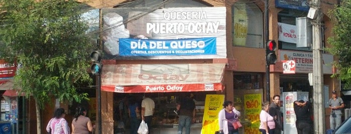 Quesería Puerto Octay is one of Locais curtidos por Evander.