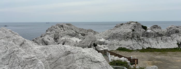 白崎海洋公園 展望台 is one of 観光地.