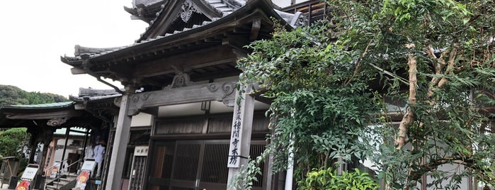 本尾山 朱雀院 種間寺 (第34番札所) is one of 四国八十八ヶ所霊場 88 temples in Shikoku.