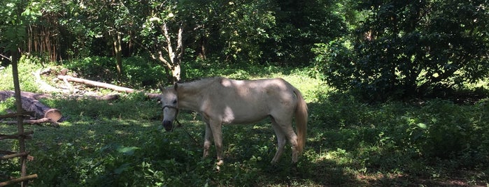 Ouan's Worth Farm and Resort is one of Deanna’s Liked Places.