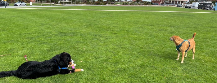 Presidio Main Post Lawn is one of Posti salvati di Kim.