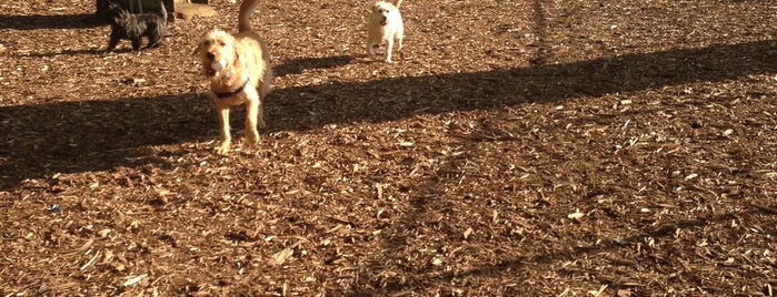 Riverside Park South Dog Run is one of My Good Dog NYC: NYC Dog Runs.