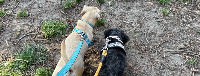 Allyne Park is one of The 15 Best Places for Dog Park in San Francisco.