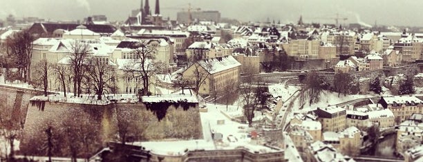 Sofitel Luxembourg Le Grand Ducal is one of Hotels.