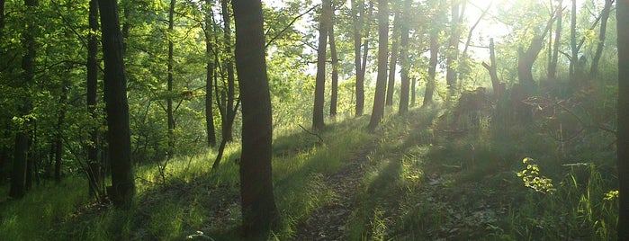 Přírodní park Košíře-Motol is one of Pražské parky.