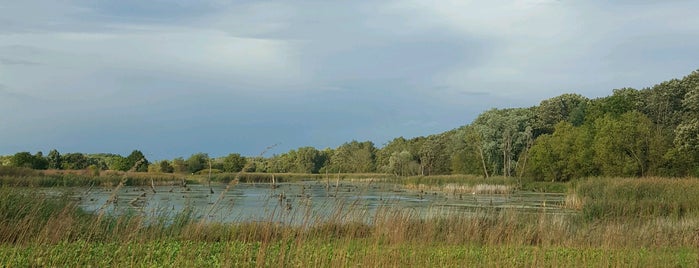Paul Douglas Forest Preserve is one of Skate/Bike Trails in Chicagoland.